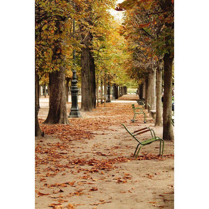 Quel est votre jardin parisien préféré? #visitparis #hyattpariscdg⠀

What is your favorite Parisian garden? #visitparis #hyattpariscdg