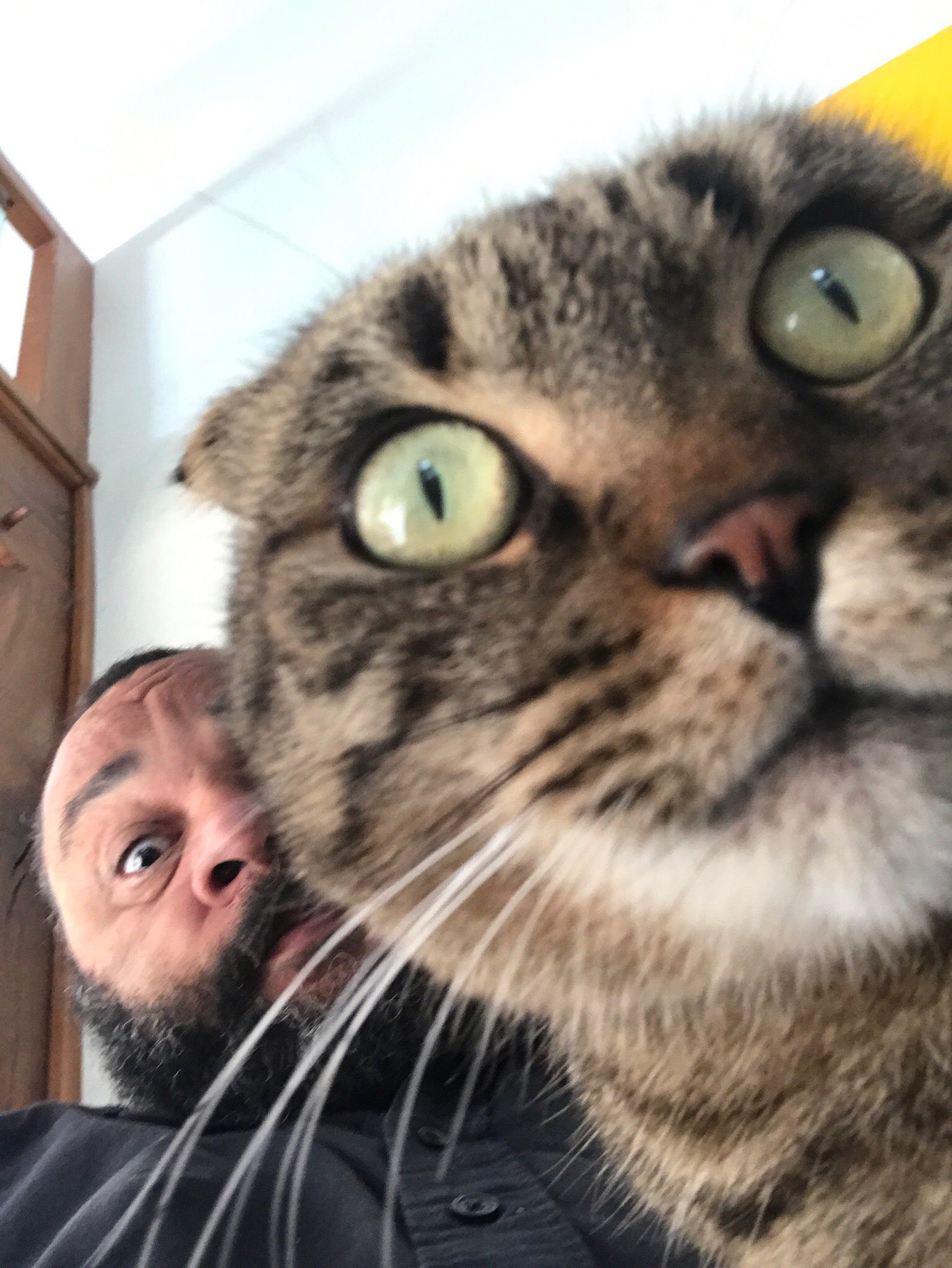 Dieudonne Officiel Caaaalme Toiiii Poutine La Vod T Co q36ckn7x Dieudonne Officiel Caaaalme Toiiii Poutine La Vod T Co q36ckn7x