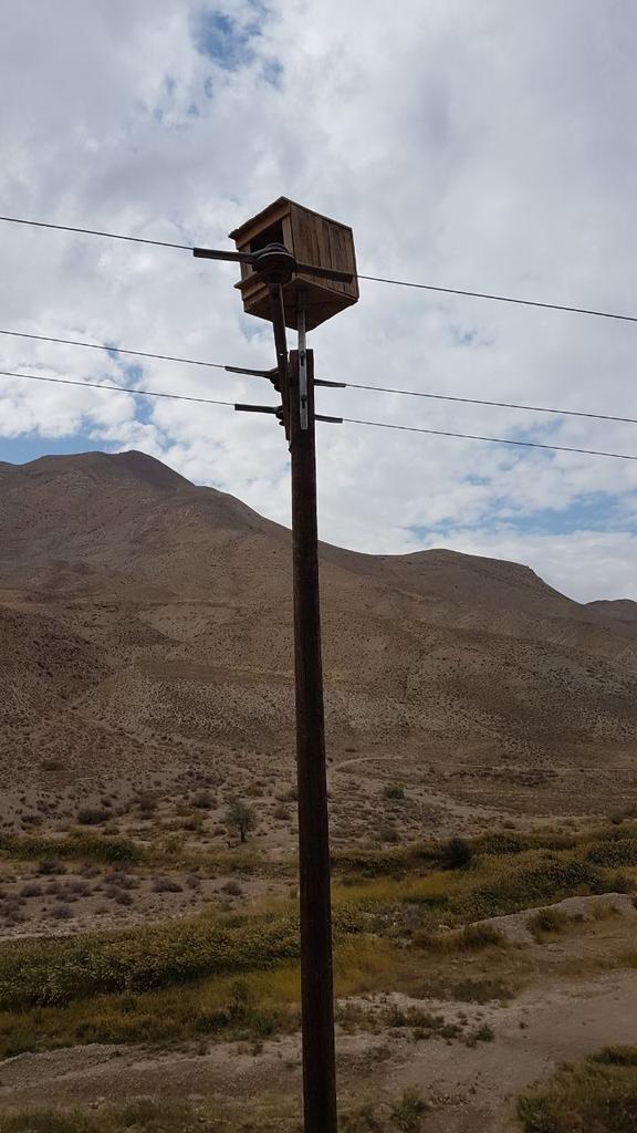 IBPLC2017's tweet photo. In Oct, 2018, 10 artificial #nestboxes were installed on the top of electricity poles in small sized #raptor breeding hotspots of Tafresh (Markazi province). Also, two poles were insulated before and after each nestbox. https://t.co/eear8pVy45