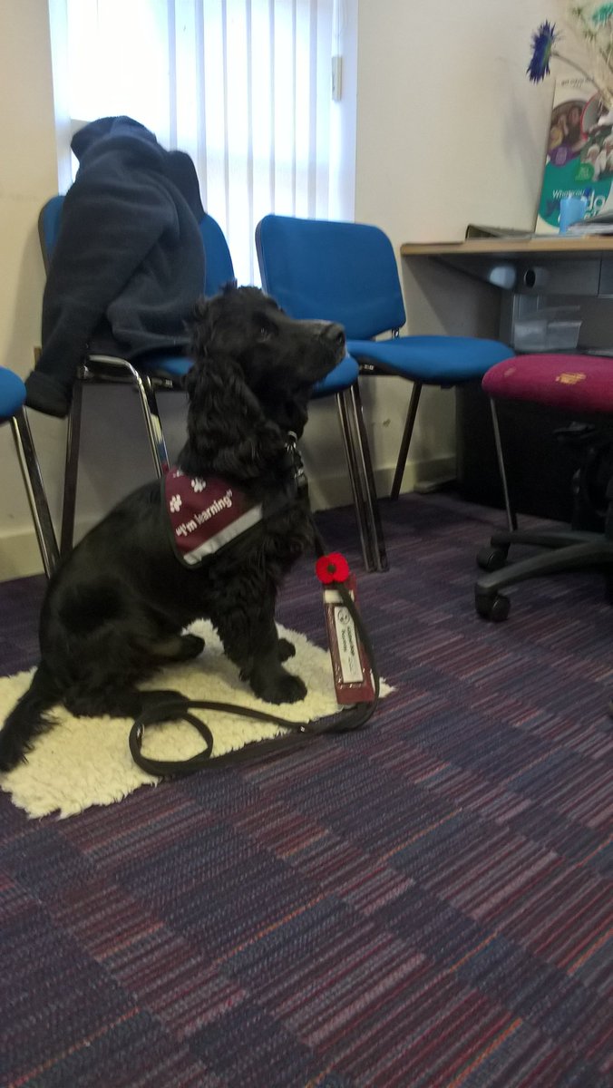 GillYeates's tweet image. Come join @HearingDogs for Santa Paws for Coffee #ChatterisLibrary 10.30 today😊