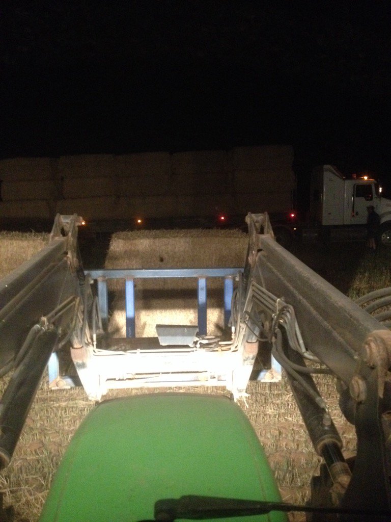 Hay hay it's Saturday. Plenty of red faces and plenty of 'pluck' a duck moments.