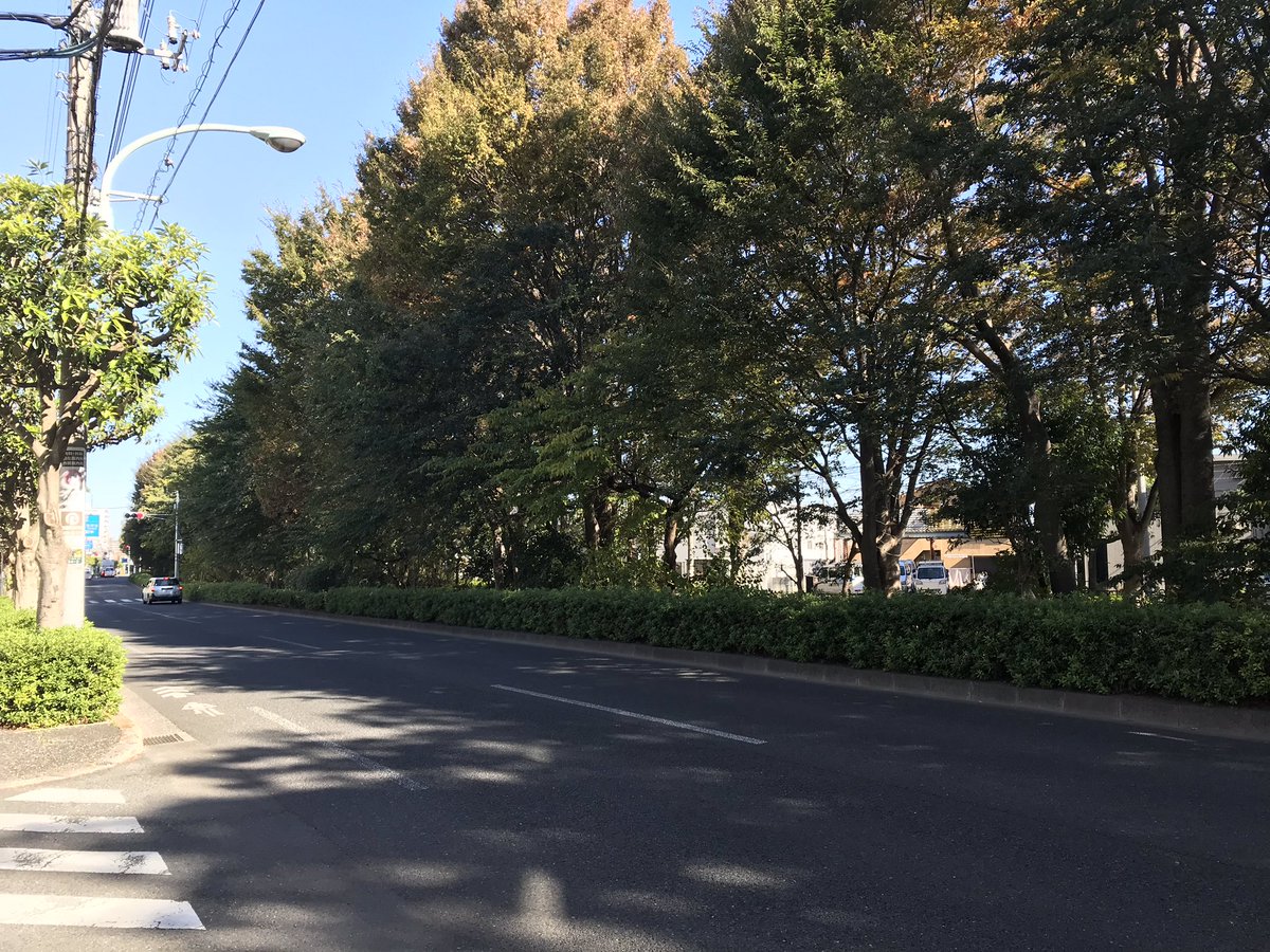 武蔵境人 五日市街道の関前の部分は 道路完成後もしばらく供用されず その間子供達の格好の遊び場となっていました 千川上水でザリガニ捕りをしてドロドロになって遊びました 昭和の話です 武蔵境人 五日市街道の関前の部分は 道路完成後もしばらく供用されず その間子供達の格好の遊び場となっていました 千川上水でザリガニ捕りをしてドロドロになって遊びました 昭和の話です