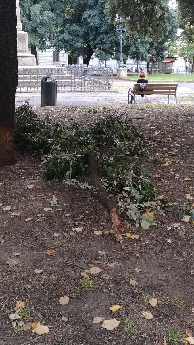albertini_v's tweet photo. @DarioNardella @comunefi in piazza indipendenza altro ramo caduto. Capita spesso.. Si possono controllare gli alberi? Ci giocano bambini qui... https://t.co/tZ9UHjI6r1