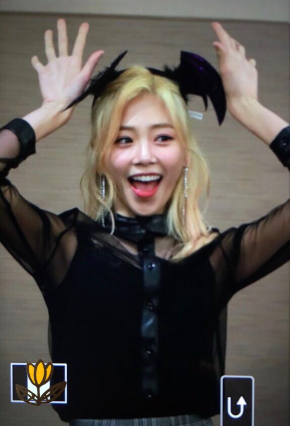 181103 수원 팬싸인회 프리뷰
#드림캐쳐 #지유 
#Dreamcatcher #jiu