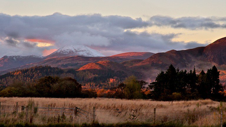 glasgow_kat's tweet photo. We are seeking an artist or curator for a PhD to look at the role of art in engaging people with nature through creating site based work at RSPB Loch Lomond. Can you help us find the right person?  https://t.co/DK68dRgx5S #phd @FindAPhD https://t.co/MwAn3SFSyc