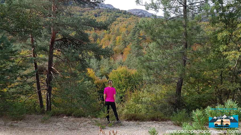 trizia_corral's tweet photo. La Metrópoli Verde en Otoño: San Zadornil – Burgos https://t.co/pclqPY9yjr https://t.co/WzuUqLHp8N