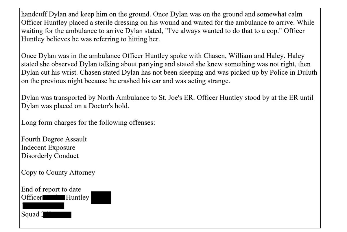 I decided I needed to find out more about the events leading up the assault so I contacted the arresting police department. They provided me with a redacted police report which I have further redacted in the interests of privacy. (Content warning: talk of suicide and self harm).