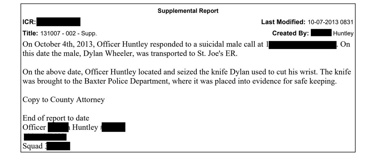 I decided I needed to find out more about the events leading up the assault so I contacted the arresting police department. They provided me with a redacted police report which I have further redacted in the interests of privacy. (Content warning: talk of suicide and self harm).