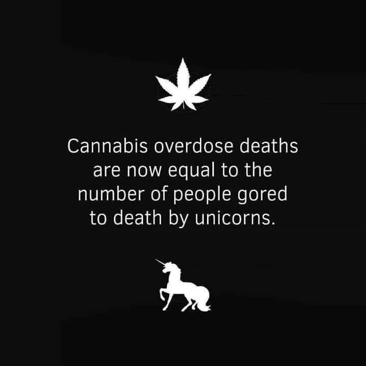 Michigan_Weed's tweet photo. https://t.co/SmoJ93MvBM