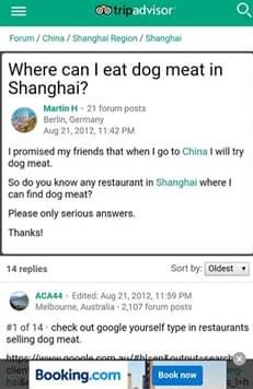 NamiKim_DogsSK's tweet photo. "The worlds largest #DogMeat consuming nation is hosting #WorldDogShow2019. Let's organize a free tour to a #DogMeatMarket, offer it to  those participating/coming from all over the world. There is a dog meat market in #Shanghai the venue for 2019"

➡️https://t.co/0rhKoswi9i https://t.co/lDJoiW7pcG