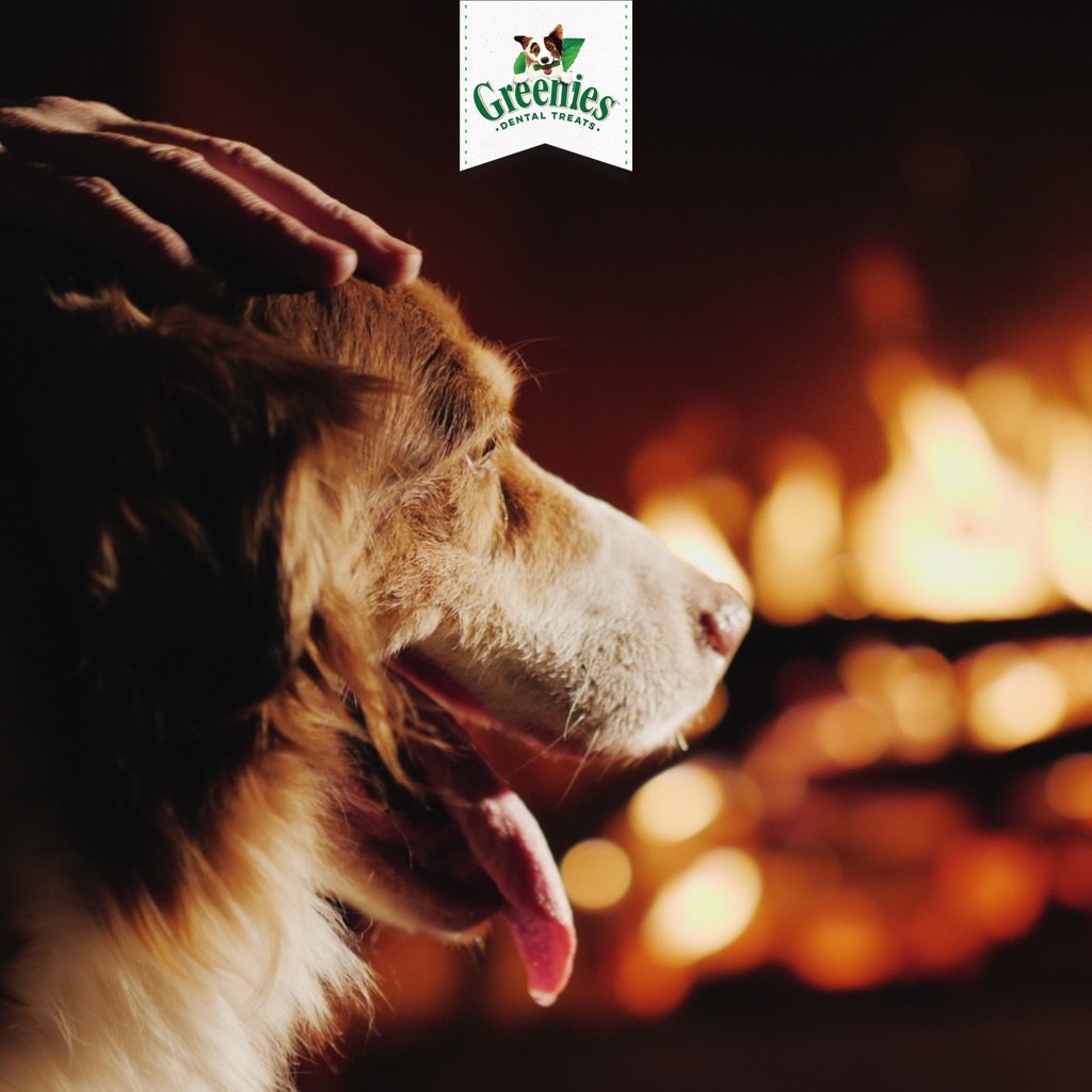 Unsure how best to keep your dog feeling cosy and calm this weekend with the festivities sparkling outside? There are some handy tips in this article ow.ly/va8450jzMyE
