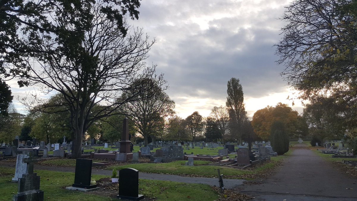 Damian_Quinn666's tweet photo. So me and the little fella took the old pumpkin to the local cemetery for the squirrels to feast on. However they seemed a bit scared to come out at first but good to see other Halloween faces had been eaten already....
#leftoverpumpkin #spookyfun https://t.co/P1LKX0UxJ8