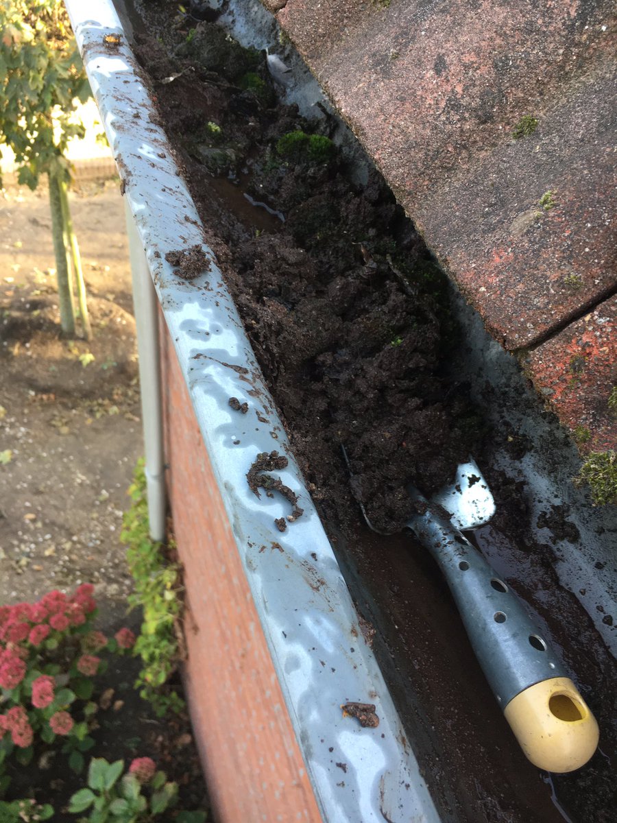 61Guus's tweet photo. Dakgoten schoonmaken. Tsja, een terugkerend ritueel. https://t.co/7g2e6lSHhk