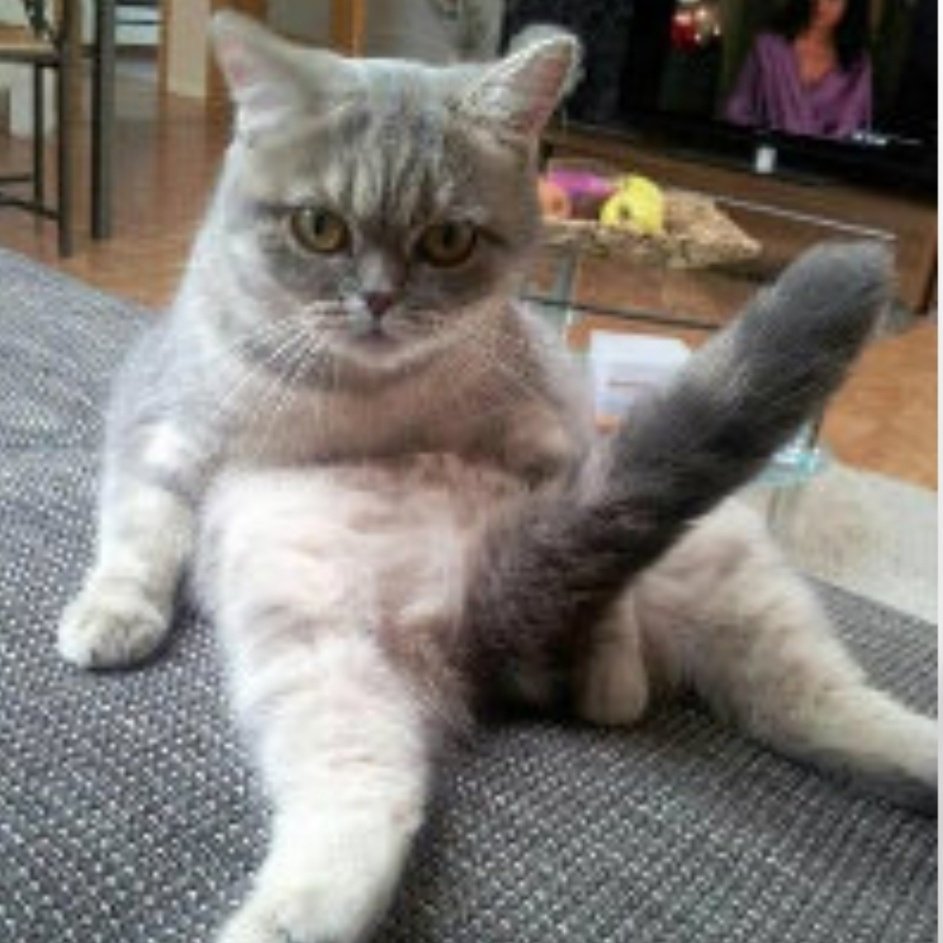 ACCDEF's tweet image. #NewProfilePic