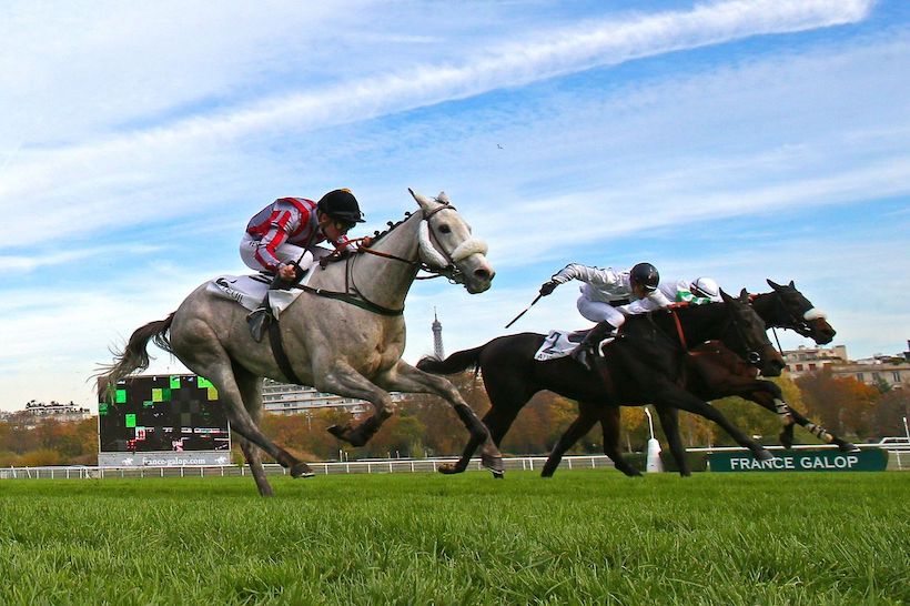 francegalop's tweet photo. La grise #Floridee gagne courageusement le Prix #BournosienneG3 #48hObstacle #Auteuil. Son éleveur Thierry Cyprès -comme la casaque Détré- double la mise dans le Prix #CongressG2 remporté par son élève #Polirico ! https://t.co/9iTYFdtcGH