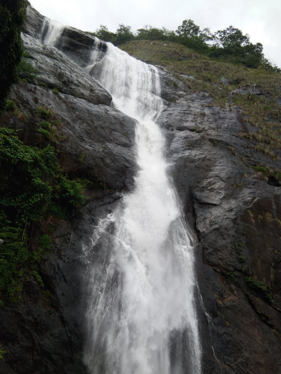 SureshkumarSR6's tweet image. Palaruvi