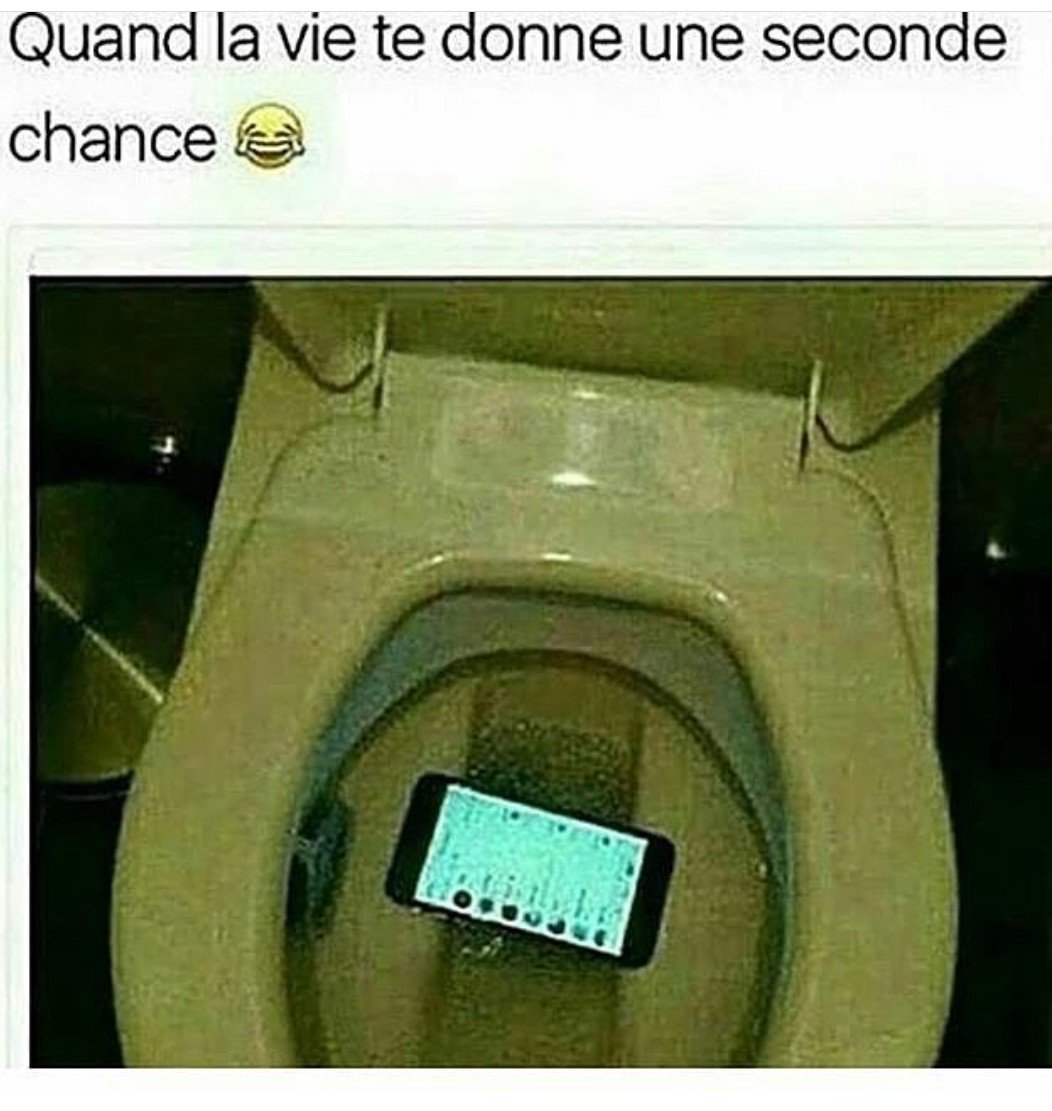 Foxcodeur's tweet image. 