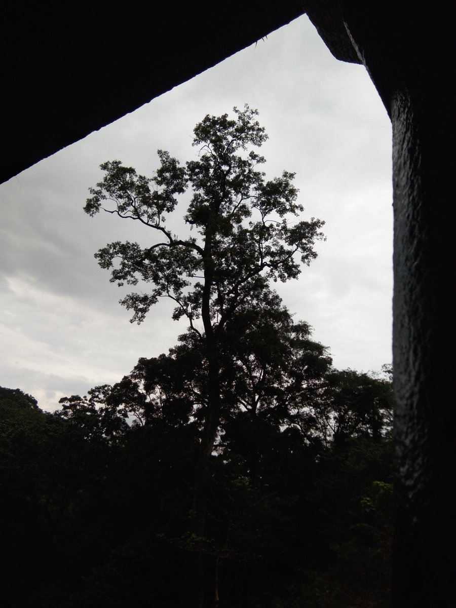 SureshkumarSR6's tweet image. Pallaravi Hub....... Kollam Dist