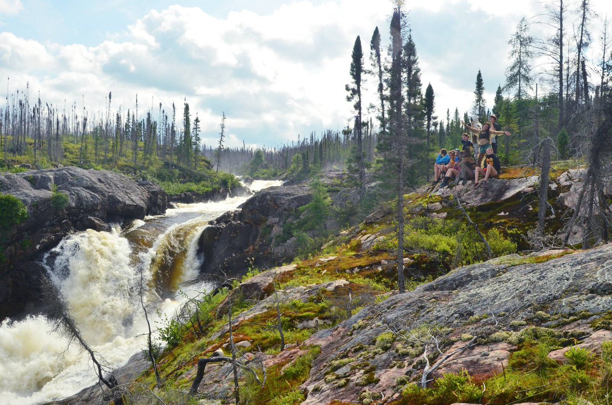 Camp Kandalore tweet media