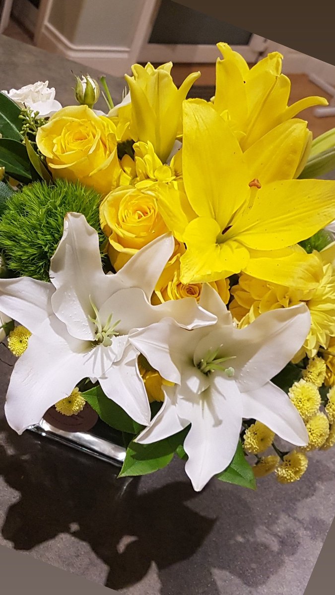 BooksbyBianca's tweet photo. Yesterday I had long awaited last minute knee surgery and I came home to a beautiful flower arrangement from some of my friends @SageNAmerica 💚.

Luckily I can recover from the comfort of home because I use #SageAccounting 🙌
#bookkeeperslife #cloudaccounting
#cloudbookkeeping https://t.co/unzZg7vWoP