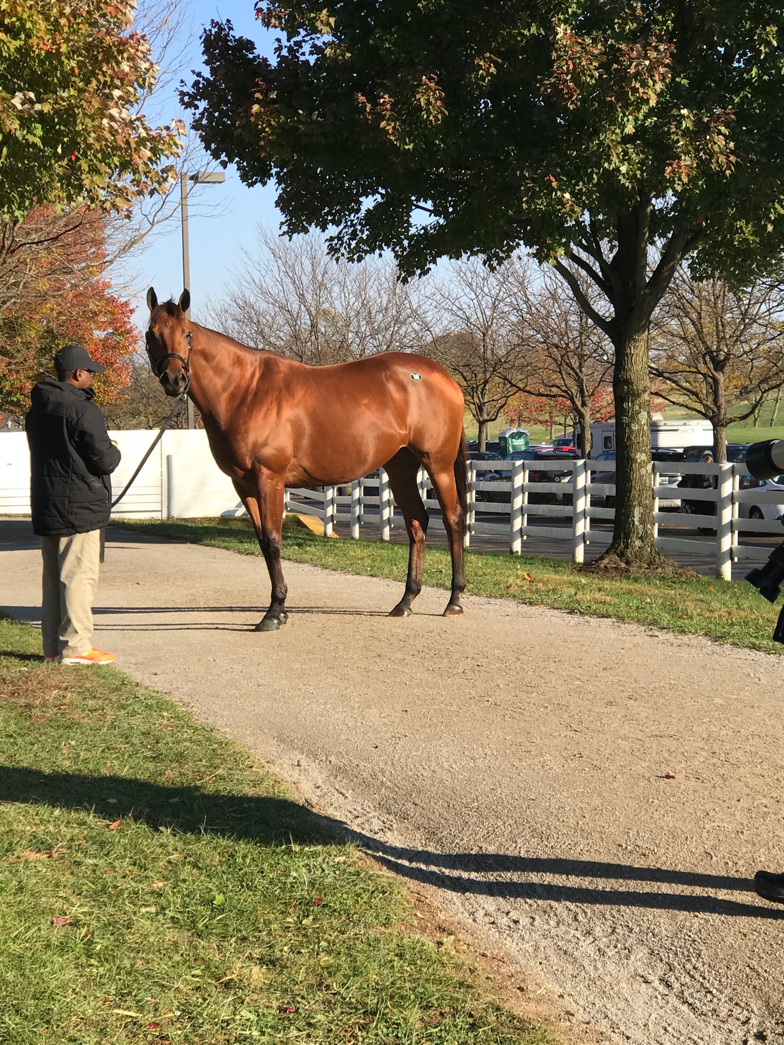 Hill 'n' Dale Farms on Twitter "Lady Eli leaving her mark ⁦keeneland⁩…
