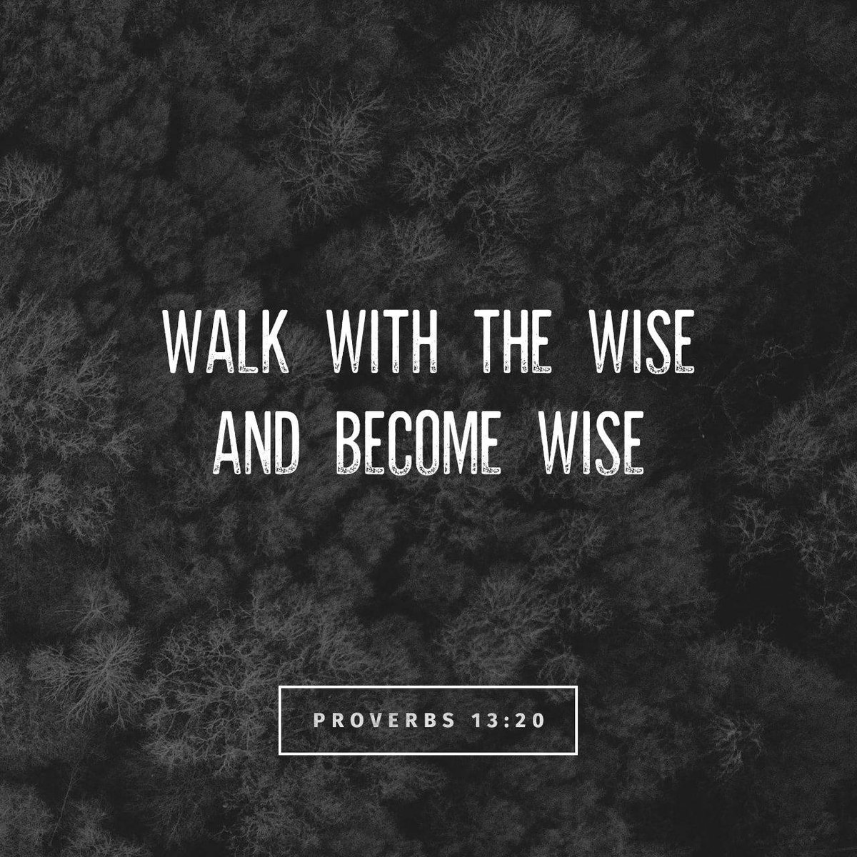 AFAMansfield's tweet image. He that walketh with wise men shall be wise: but a companion of fools shall be destroyed.

#Proverbs13_20 #KJV
#VerseoftheDay #afaLive1
AFAlive.com