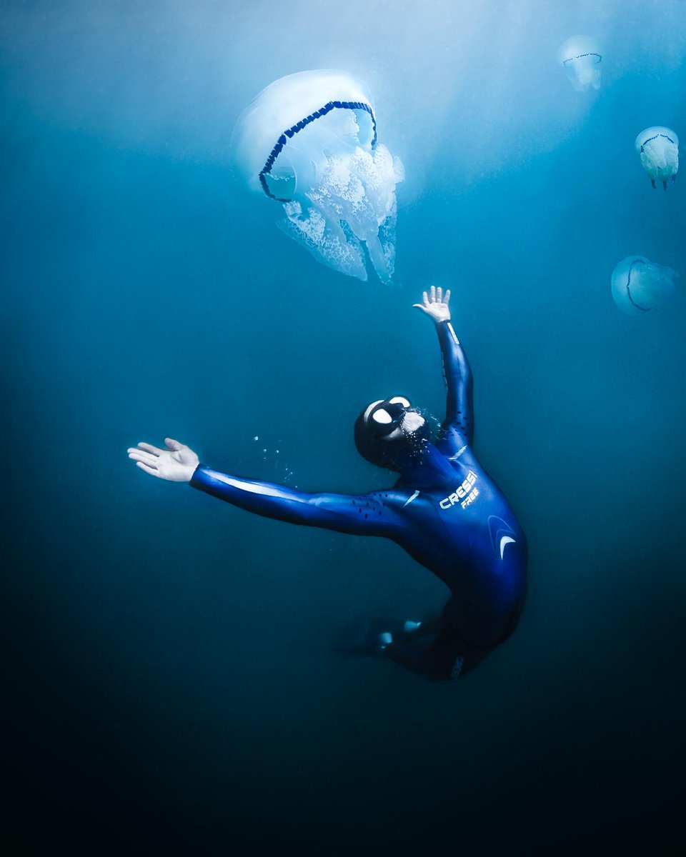 GoPro's tweet photo. Photo of the Day: No bones, no brains, no problem.🌊 Celebrate #WorldJellyfishDay with Federico Falco.

#DidYouKnow: Jellyfish are one of the oldest multicellular animals on the planet? Share your #Jellyfish stories with us or submit your shots to https://t.co/H6OUvpg0Vl.

#GoPro https://t.co/xyLvrnN0J7