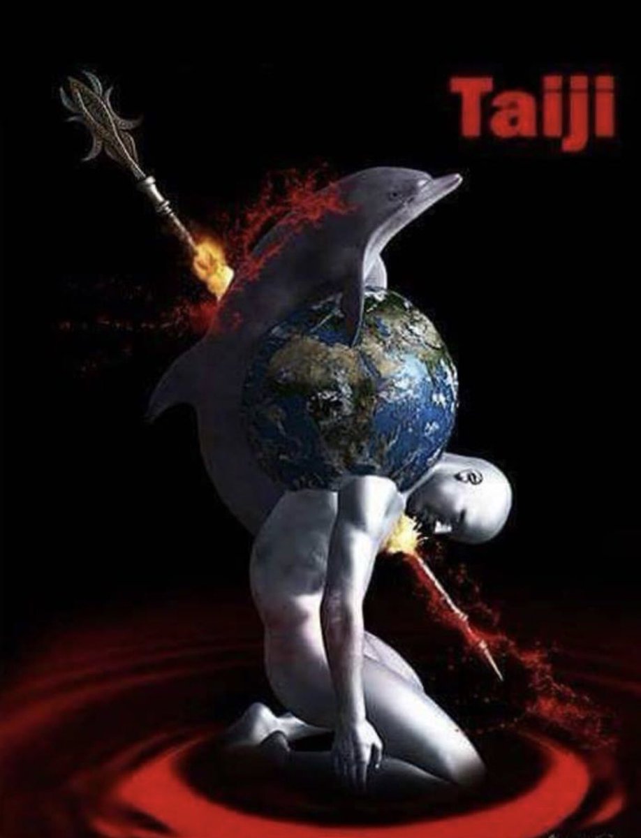 #Tweet4Dolphin #SayNoToCaptivity 
#Tweet4Taiji 
Dolphins are our friends!!
We are partners of land and sea.