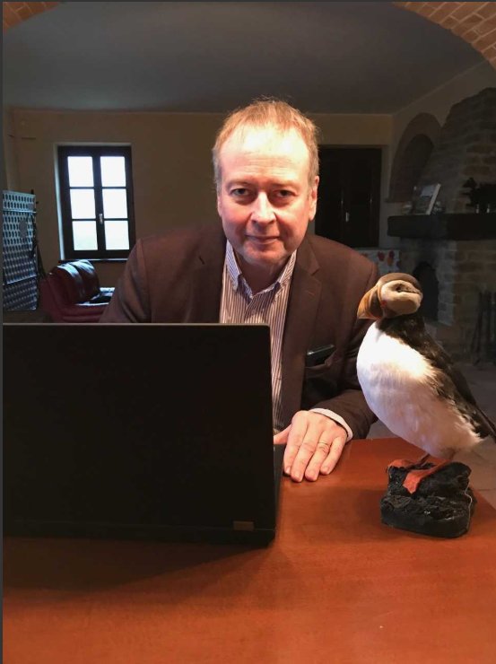 Reykjavik Puffins tweet media