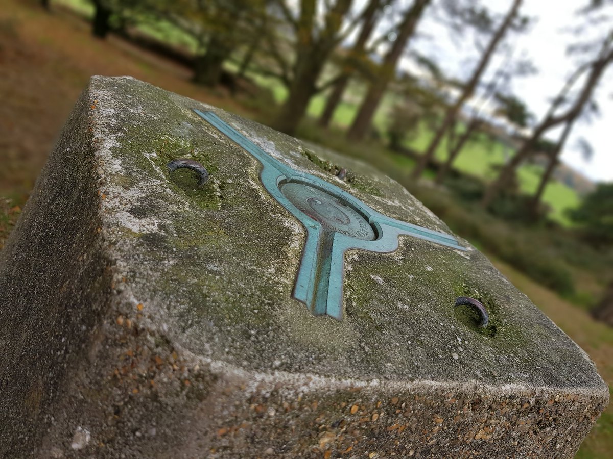 d0rs3tk4t3's tweet photo. Bokerkely ditch and Pentridge #favouritewalk #favouritetrig https://t.co/6XXbYvT9OD