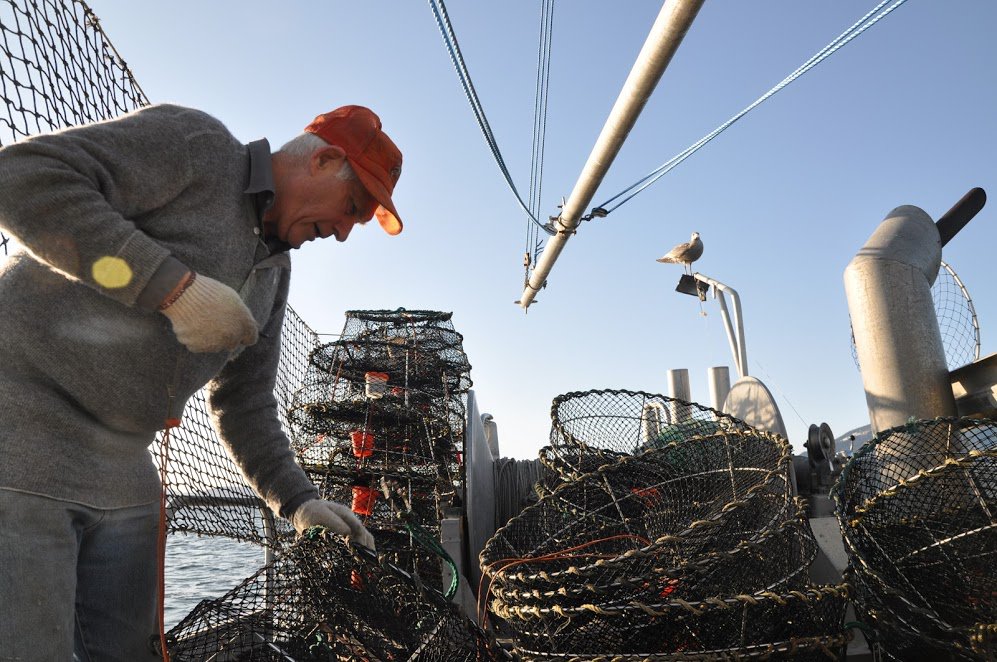 FishcoinNetwork's tweet photo. Lack of data within seafood supply chains prevents the proper management of fish stocks and could lead to the collapse of the seafood ecosystem as human population and demand for seafood increases. @FishcoinNetwork will incentivize data sharing across seafood supply chains #SDG12 https://t.co/CqXSpwxtYu