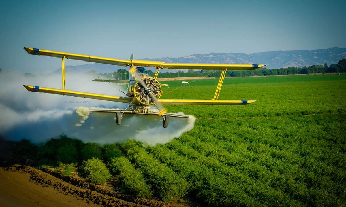 Chris Haile (@chaile2111) on Twitter photo Applying Sulfur dust on organic tomatoes in the Northern Sacramento Valley.
<a href="/AgAviationNAAA/">NAAA</a>
<a href="/agairupdate/">AgAir Update</a>
<a href="/CovingtonAir/">Covington Aircraft</a>
<a href="/YSFarmBureau/">Y-S Farm Bureau</a>
<a href="/prattandwhitney/">Pratt & Whitney</a>
<a href="/CAFarmBureau/">California Farm Bureau</a>
<a href="/AgNowMag/">Ag Now Magazine</a>
<a href="/CalTomatoGrwers/">CTGA</a>
@Schw Applying Sulfur dust on organic tomatoes in the Northern Sacramento Valley.
<a href="/AgAviationNAAA/">NAAA</a>
<a href="/agairupdate/">AgAir Update</a>
<a href="/CovingtonAir/">Covington Aircraft</a>
<a href="/YSFarmBureau/">Y-S Farm Bureau</a>
<a href="/prattandwhitney/">Pratt & Whitney</a>
<a href="/CAFarmBureau/">California Farm Bureau</a>
<a href="/AgNowMag/">Ag Now Magazine</a>
<a href="/CalTomatoGrwers/">CTGA</a>
@Schw