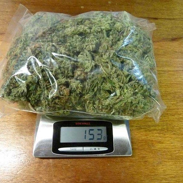100 гр марихуаны тольятти конопля