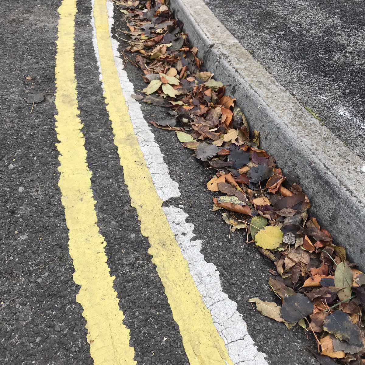 LitlLinden's tweet photo. @kbwoodnews I saw us in the street! #walkingwhiletalking + #drawingwithtrees + #foundtapedrawings https://t.co/I2EjkPyfKX