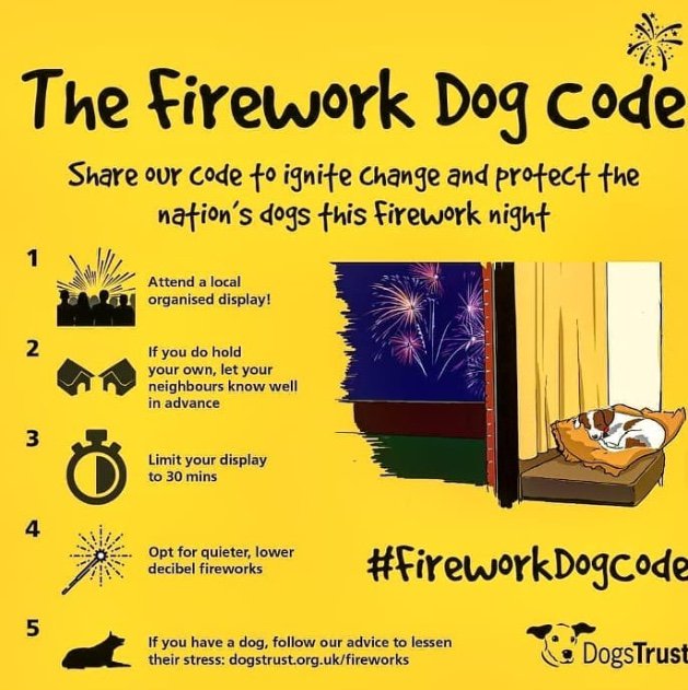 DT_MANCHESTER's tweet image. Please think of our fur babies later today, so many get scared by #fireworks, lets help keep them safe #bonfirenight #fireworkcode #dogstrust #bonfire #adogisforlife #rescuedog #adoptdontshop #firework