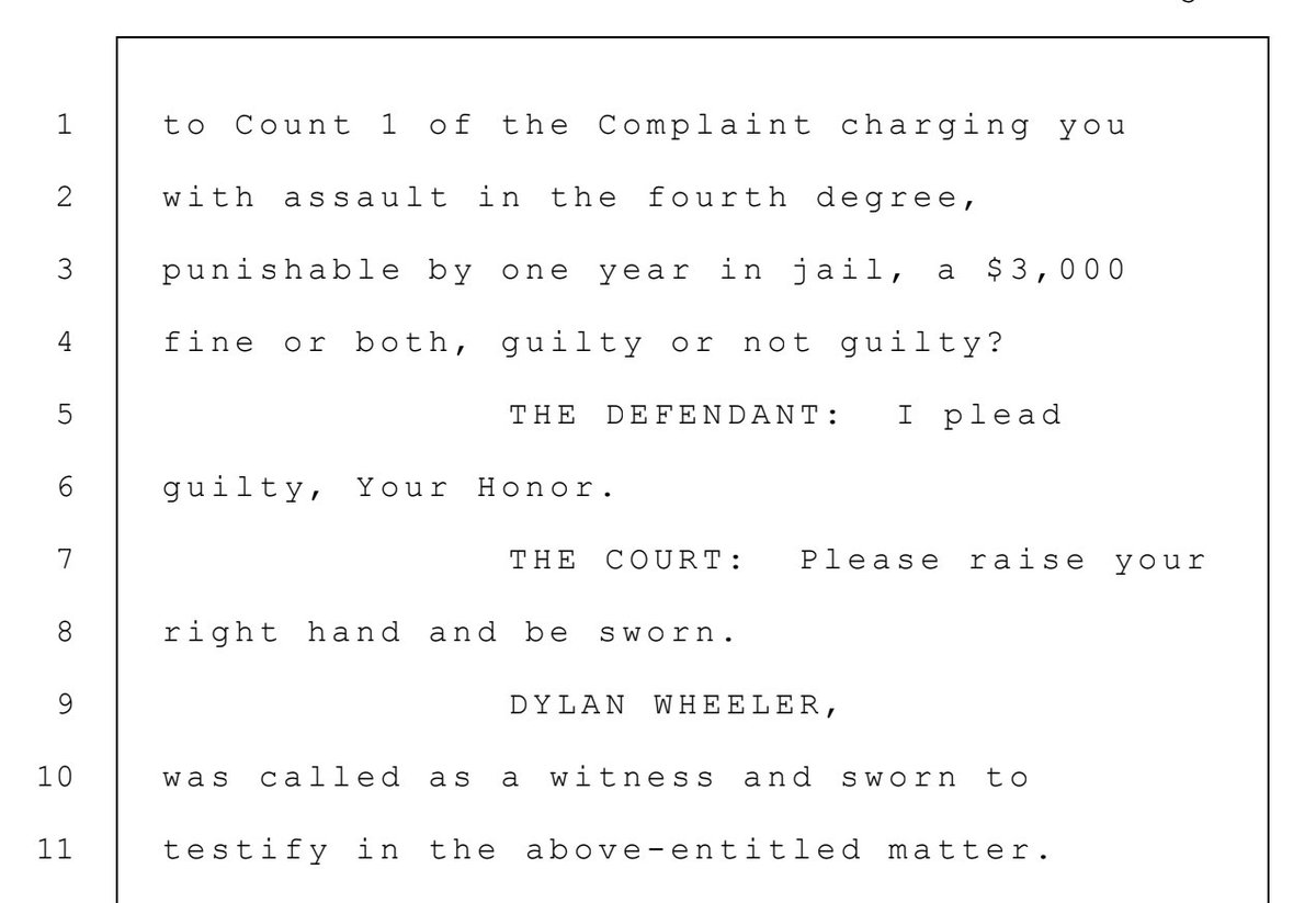 To find out more I paid for a draft transcript of Wheeler's court appearance. In it he pleads guilty to assaulting a female police officer.