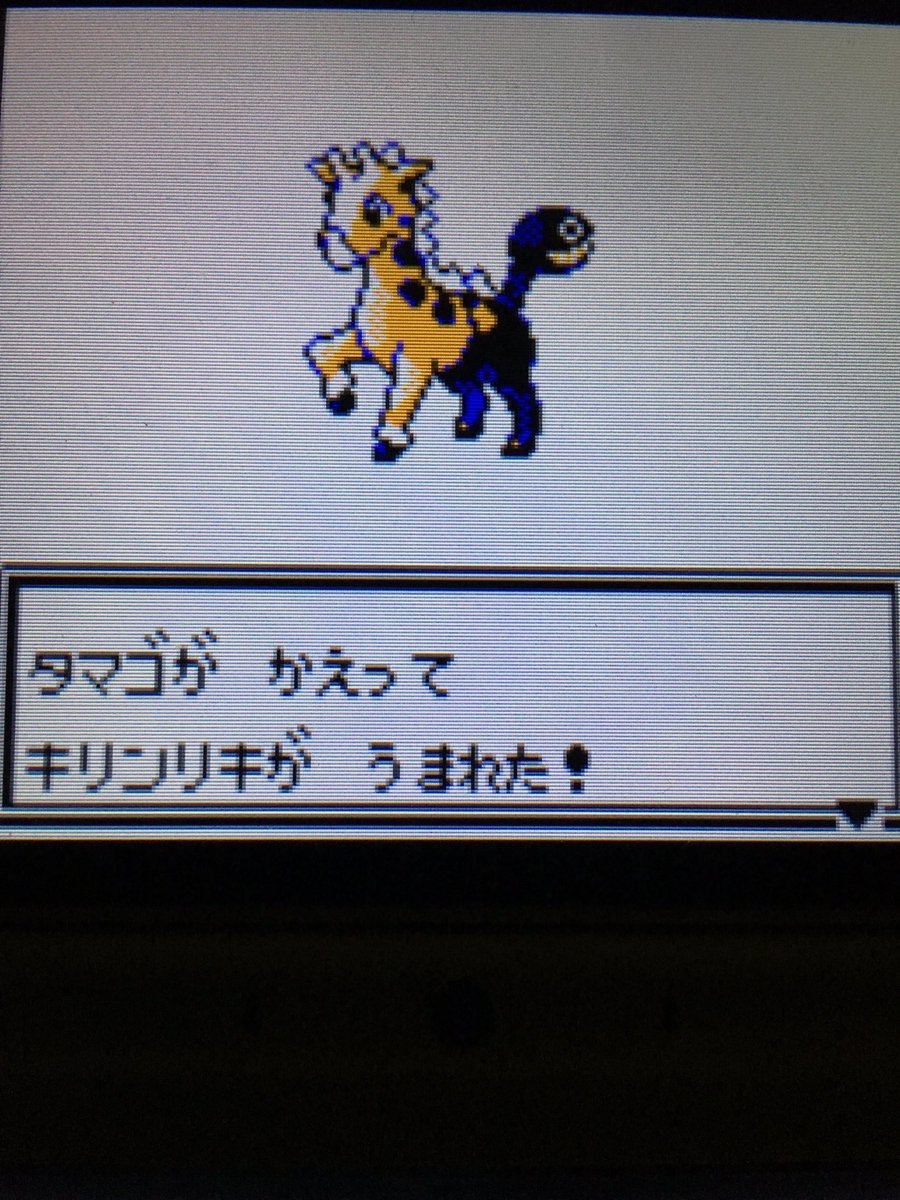 色違いポケモン紹介 Vc産キリンリキ 自由に生きてあそblog