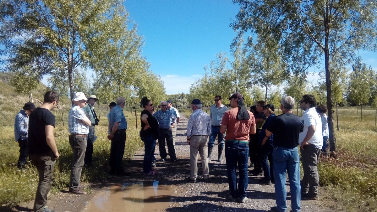 ipsVIIba's tweet photo. We visited a quarry company with willow afforestation experience established using deep-planting technique
#IPSVII #PoplarSymposium #Patagonia #IUFRO https://t.co/sqCWzSXA84