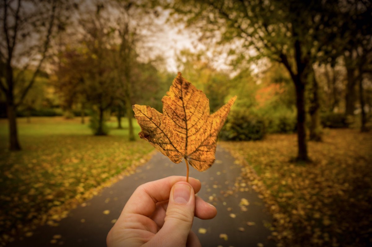 Joe Greenly tweet media