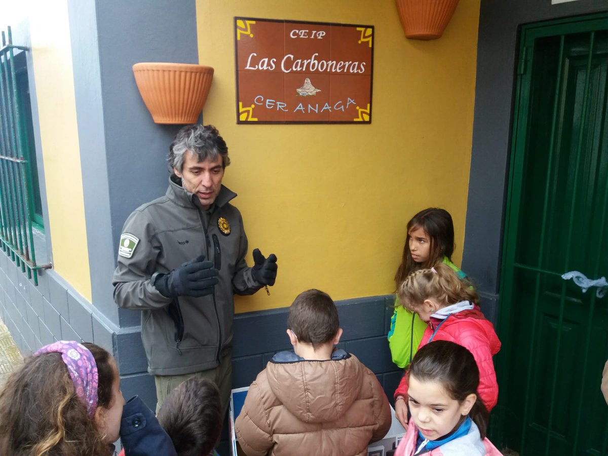 UMEN_SC's tweet image. Campaña de recogida de #Pardelas Cenicienta, especie #protegida.
El objetivo es recoger los ejemplares que sufran heridas en sus primeros vuelos desde octubre a diciembre.
La gestión se presta por los Agentes del Medio Natural #protección #sensibilización #ayúdanos #SantaCruz