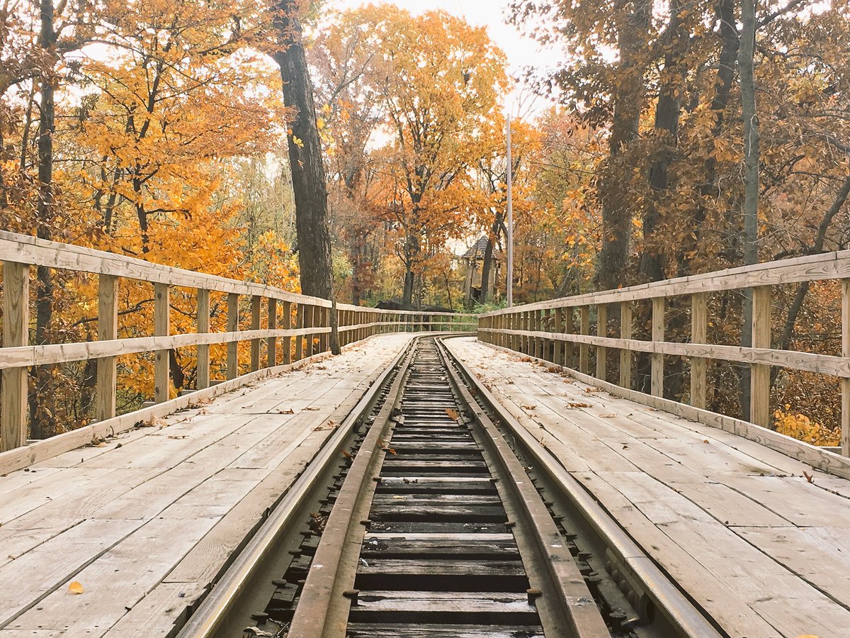 worldsoffun's tweet photo. 🚂On track for a beautiful day.🍂 https://t.co/U7hR8BU5Xn