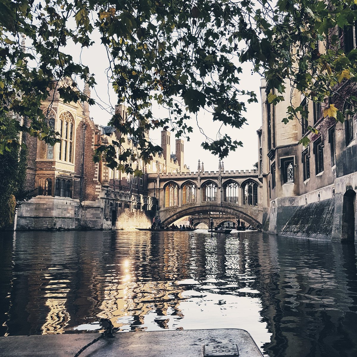 LizPhasey's tweet photo. Weekend off and an enjoyable, relaxing punt along the river Cam .... I can't complain at taking Malachi to football matches if it lands me in places like these #Gills #cambridgepuntcompany #bridgeofsighs #mathematicalbridge  #cambridge https://t.co/akIdWU0mHU