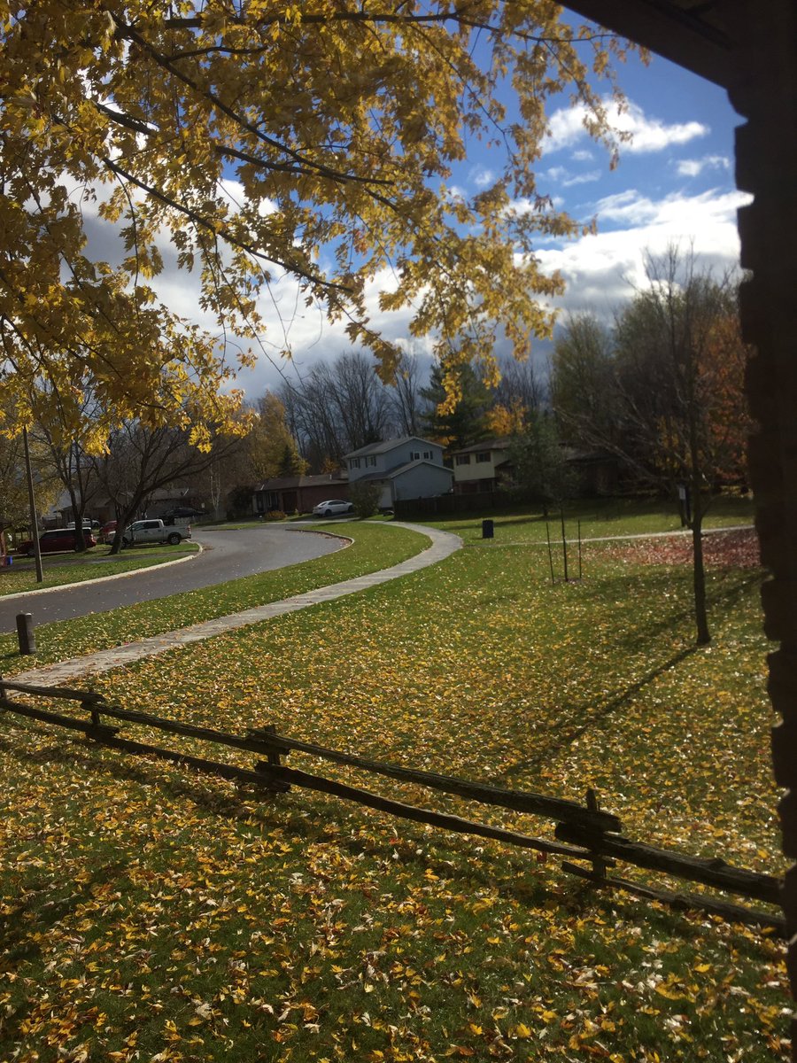 jack_laverock's tweet photo. Fall jus so beautiful 😍🇨🇦 https://t.co/RVCSyNymM7
