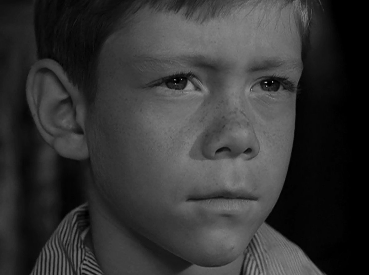 Susan PawlakSeaman (SeamanSusanSCT) Twitter