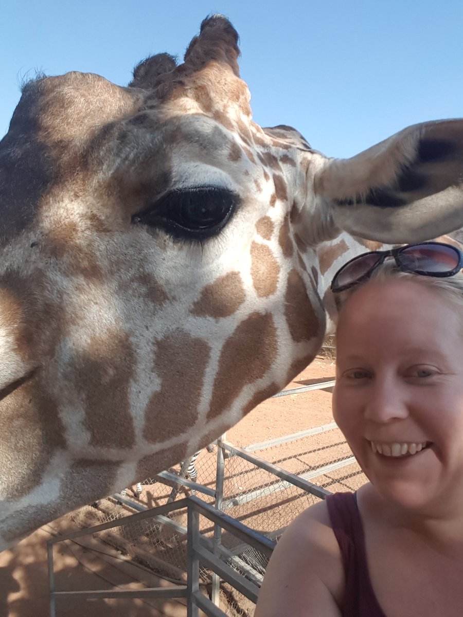 #holiday #cyprus #giraffe