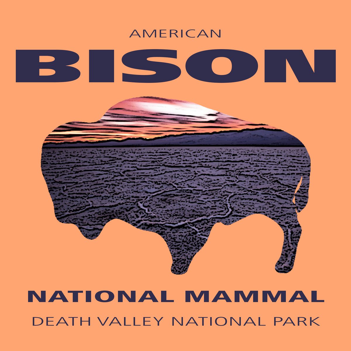Though they don't live here, we still want to celebrate our #nationalmammal on #NationalBisonDay! Bison populations are recovering from < 1,000 individuals thanks to conservation measures. #Conservation nps.gov/subjects/bison…