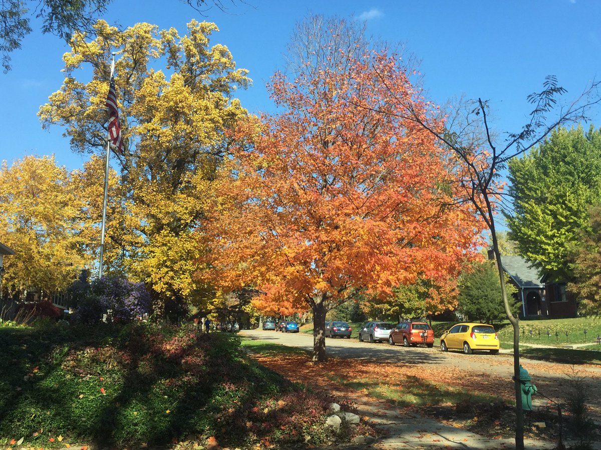 GreenSpin43's tweet photo. Can’t make it to Brown County today? This is Irvington right now. Grab a beer at @BlackAcreBrewer and enjoy the scenery! https://t.co/A9Frc6RyxD