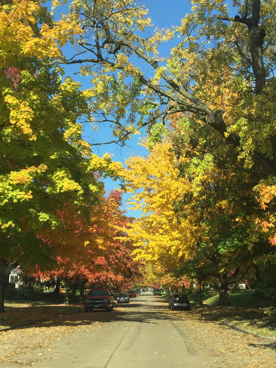 GreenSpin43's tweet photo. Can’t make it to Brown County today? This is Irvington right now. Grab a beer at @BlackAcreBrewer and enjoy the scenery! https://t.co/A9Frc6RyxD