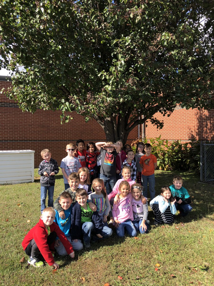 MrsReedCE's tweet photo. Thanks to the @ARForestryComm we planted a shade tree on our playground! We then visited the tree I planted at @CentralCabotpK4 when I was in 2nd grade! 
#ReedRockstars #CEunited https://t.co/snTWljfc3p