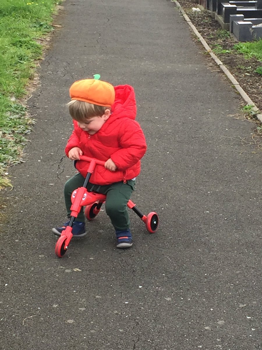 pcstevo's tweet photo. Had to deal with this egg today... strong look I think you’d agree.. #pumpkinhat #scuttlebug https://t.co/brATcYRAbD